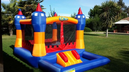 CASTILLO REINO DE PELOTAS